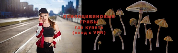 ПСИЛОЦИБИНОВЫЕ ГРИБЫ Россошь