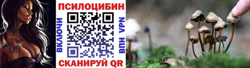 Псилоцибиновые грибы мицелий купить цена Асбест