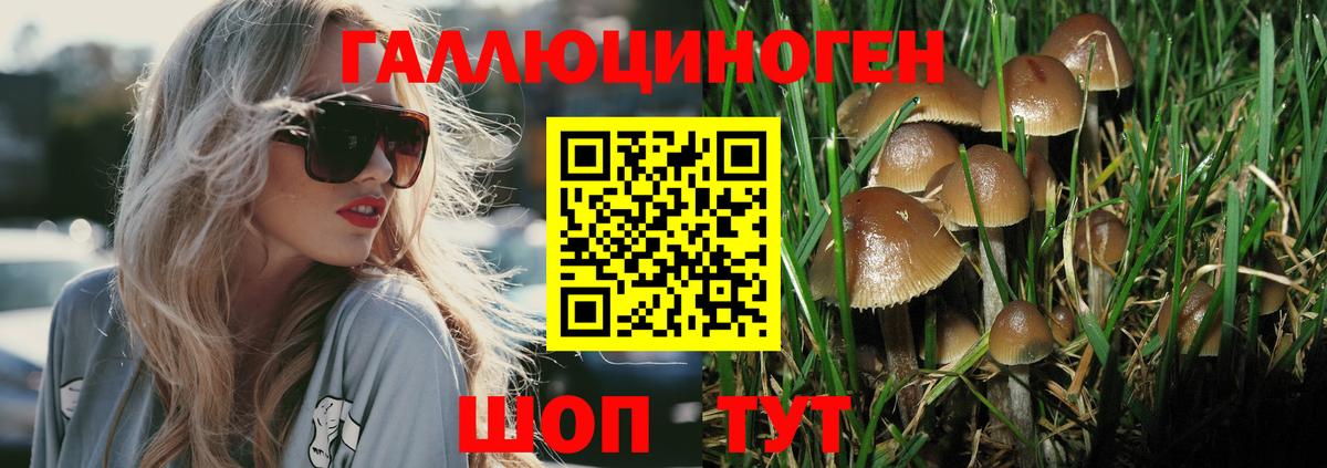 Псилоцибиновые грибы Cubensis  Вход с VPN  Асбест 